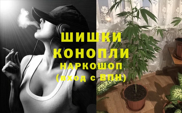 спайс Вязьма