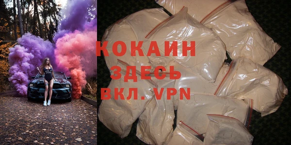 шишки Вяземский