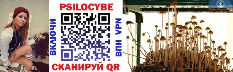Псилоцибиновые грибы GOLDEN TEACHER  купить наркоту  Геленджик 