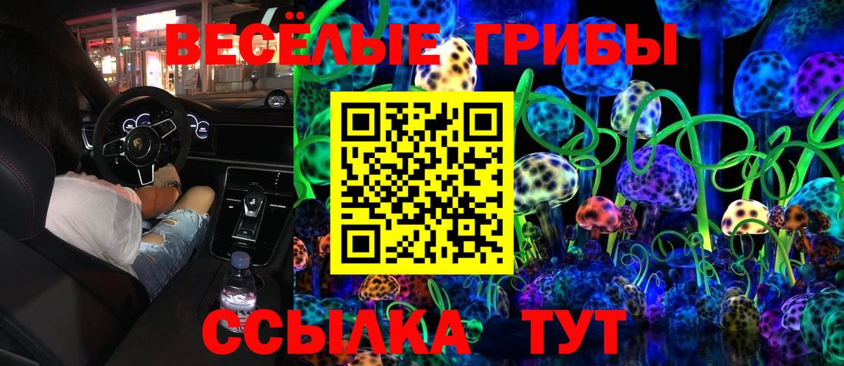 Галлюциногенные грибы Cubensis Геленджик