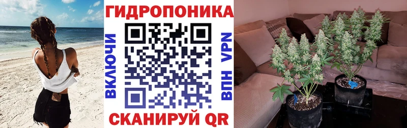 Бошки марихуана OG Kush  сколько стоит  Геленджик 